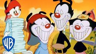 Animaniacs  The Warners Best Pranks  Classic Cartoon Compilation  WB Kids