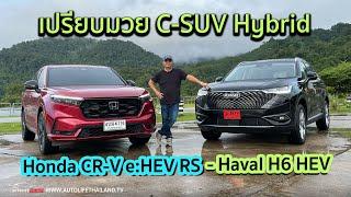 เปรียบมวย C-SUV ไฮบริด Honda CR-V eHEV RS - Haval H6 HEV ค่าตัวต่างกัน แล้ว ใครเด่นใครด้อยใครคุ้ม?