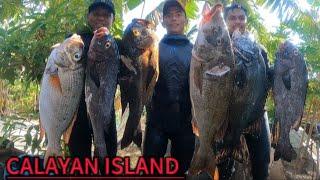 SPEARFISHING PHILIPPINES  CALAYAN ISLAND EXPEDITION  MEL SPEARFISHING TV