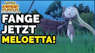 Fange JETZT ein wildes Meloetta im Pokémon Karmesin & Purpur DLC
