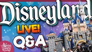 LIVE Disneyland Q&A or anything else you want to ask