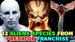 12 Extremely Terrifying Alien Species from Predator Universe - Explored