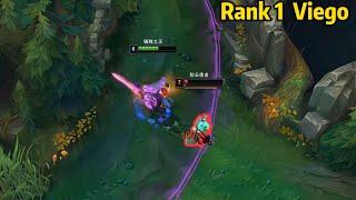 Rank 1 Viego CN Best Viego is DOMINATING High Elo