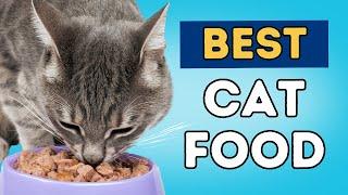 What is Best To Feed Your Cat?