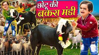 Chotu Ki Bakra Mandi  छोटू की बकरा मंडी  Bakraeid Special  Khandeshi Hindi Chotu New Comedy2024