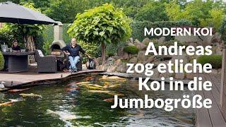 Andreas 40.000 Liter Teich mit perfektem Wasser  Modern Koi Blog #6907