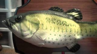 ***BIG MOUTH BILLY BASS*** Singing fish