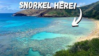 Hanauma Bay -  Hawaii Beach for Snorkeling  Everything you need to know to go