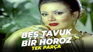 Beş Tavuk Bir Horoz  Nebahat Çehre Münir Özkul Eski Türk Filmi Full İzle