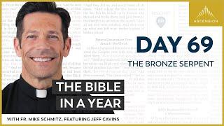 Day 69 The Bronze Serpent — The Bible in a Year with Fr. Mike Schmitz