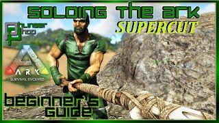 Soloing the Ark Supercut Season 4 - The Beginners Guide - Episodes 1-10