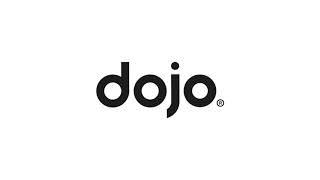 Introducing the Dojo Go