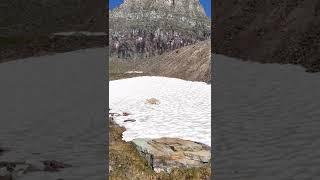 Mountain goat taking a nap on snow when its about 90F in Glacier National Park #funnyanimals #goat