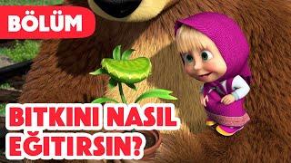 Maşa İle Koca Ayı 🪴 Bitkini nasıl eğitirsin?  Bölüm 99 Yeni bölüm 2024