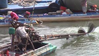 Thailand Long-tail boat VS Vietnam Long-tail boat เครื่องV8 ถือหางอย่างโหด ใบพัดใหญ่จัด