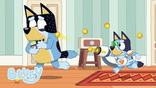 Surprise  EXTRA Brand New - Season 3  Bluey