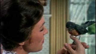 Mary Poppins 1964 Trailer HQ