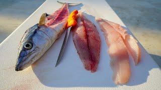 How To Fillet and Clean Cero Mackerel