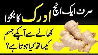 Health Benefits Of Ginger  Adrak Khane K Fayde Urdu Hindi  Urdu Lab