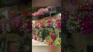 Balcony Flower Garden IdeasBalcony Makeover