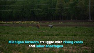 Michigan farmers struggle with rising costs and labor shortages