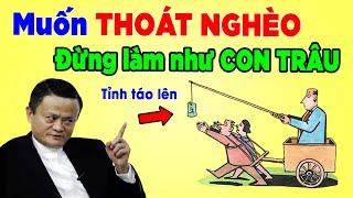 Muốn Thoát Nghèo Đừng Làm Việc Như CON TRÂU Mà Học Ngay 7 Điều Này