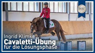 Tipps von Ingrid Klimke Cavaletti Übung für die Lösungsphase