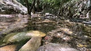 Relaxing stream and water sound.. Nature bird sounds meditation and sleep music