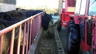 Foster Forage Box  Feeder Wagon - D600 Front View