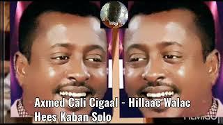 Axmed Cali Cigaal - Hillaac Walac Hees Kaban Solo Courtesy of Prof Kinzer