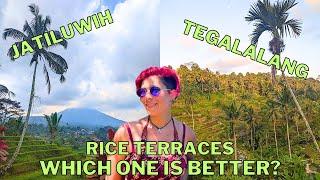 Tegalalang VS. Jatiluwih Rice Terrace in Bali
