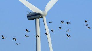 How Do Horizontal Axis Wind Turbines Work?