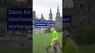 Wettlauf gegen die Zeit bei eingestürzter Brücke in Dresden  DW Nachrichten