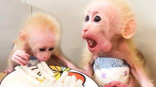 Baby Bibi tries special food from Dad