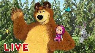 Masha and the Bear  LIVE STREAM  Best cartoons for children