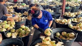 Amazing Coconut Packing Process Crazy Speed Coconut Cutting Skills in Factory - Thai Street Food