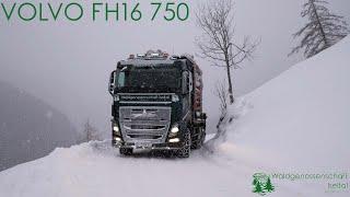 VOLVO FH16 750 Holzbringung  Schneefall St. Johann im Walde