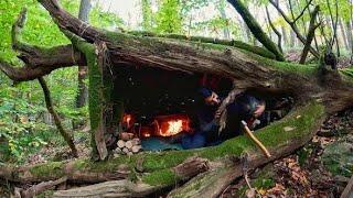 7 Days Solo Survival Camping In Rain Forest Building Warm Bushcraft Shelters Fireplace Cooking