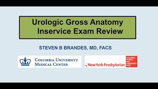 Urologic Gross Anatomy - EMPIRE Urology In Service Review