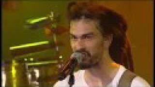 Moonraisers - Hotel California - Live - Paleo 08