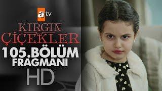 Kırgın Çiçekler 105. Bölüm Fragmanı