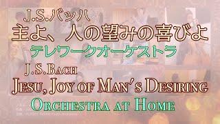 J.S.Bach Jesu Joy of Mans Desiring - Orchestra at Home