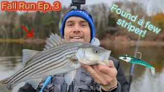 These Fish LOVE these LURES Fall Run Episode 3 Part 2