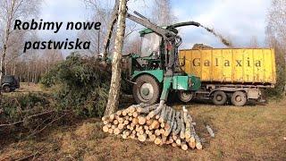 Biomasa drzewna jako surowiec dla energetyki