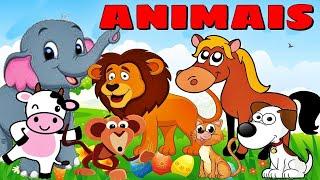 SONS DOS ANIMAIS - Farm Animal VÍDEO EDUCACIONAL