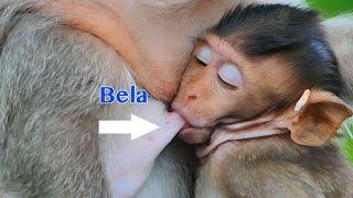 Awesome Mama Berry Feeding Plenty Milk To Baby Mela