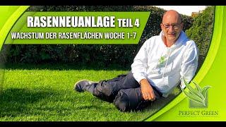 Rasenneuanlage & Nachsaat  Teil 4 Rasenwachstum Woche 1 bis 7  Entwicklung der Rasenflächen