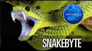 SnakeByte