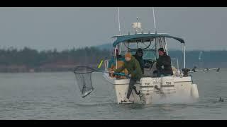 Scotty  Sidney Peninsula  Mike L Memorial Salmon Derby 2023