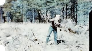 Lumberjack Time 1960s no audio